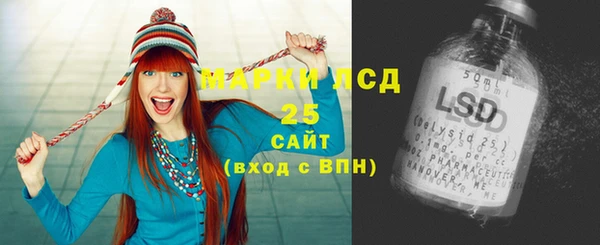 шишки Нея