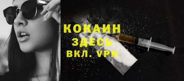 шишки Нея