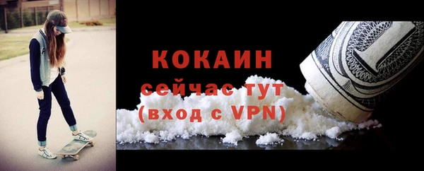 шишки Нея