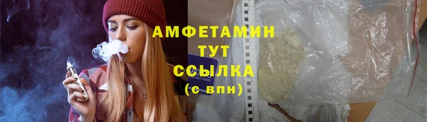 шишки Нея