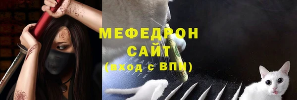 шишки Нея