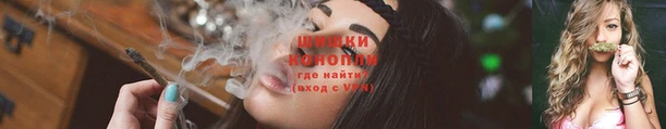 ПСИЛОЦИБИНОВЫЕ ГРИБЫ Бежецк