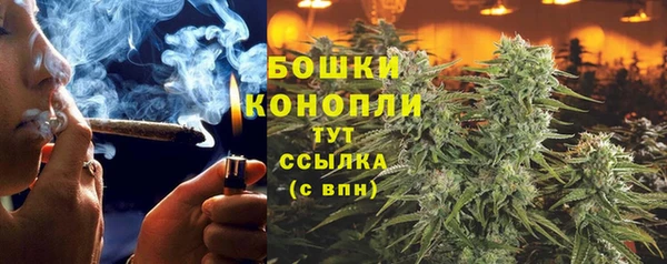 шишки Нея