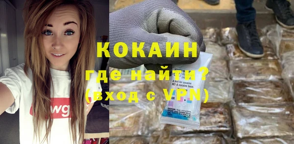 шишки Нея