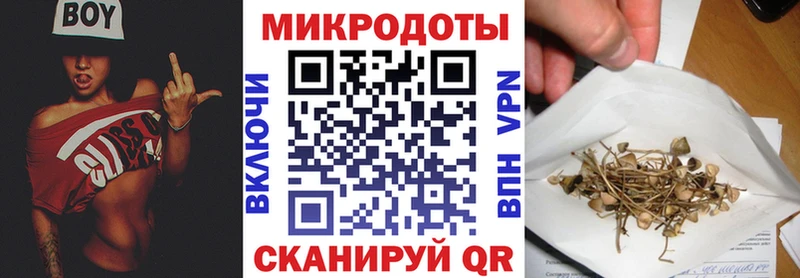 Галлюциногенные грибы Magic Shrooms Власиха